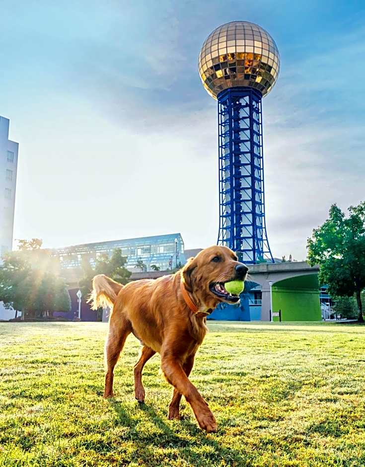 Crowne Plaza Knoxville Downtown University By IHG