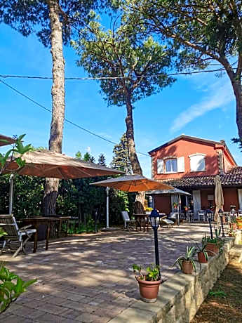 B&B Parco degli Ulivi