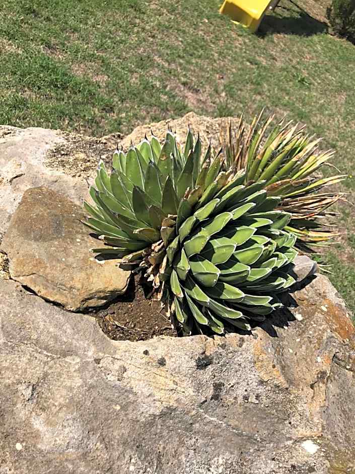 Azienda Agrituristica I Tre Casali