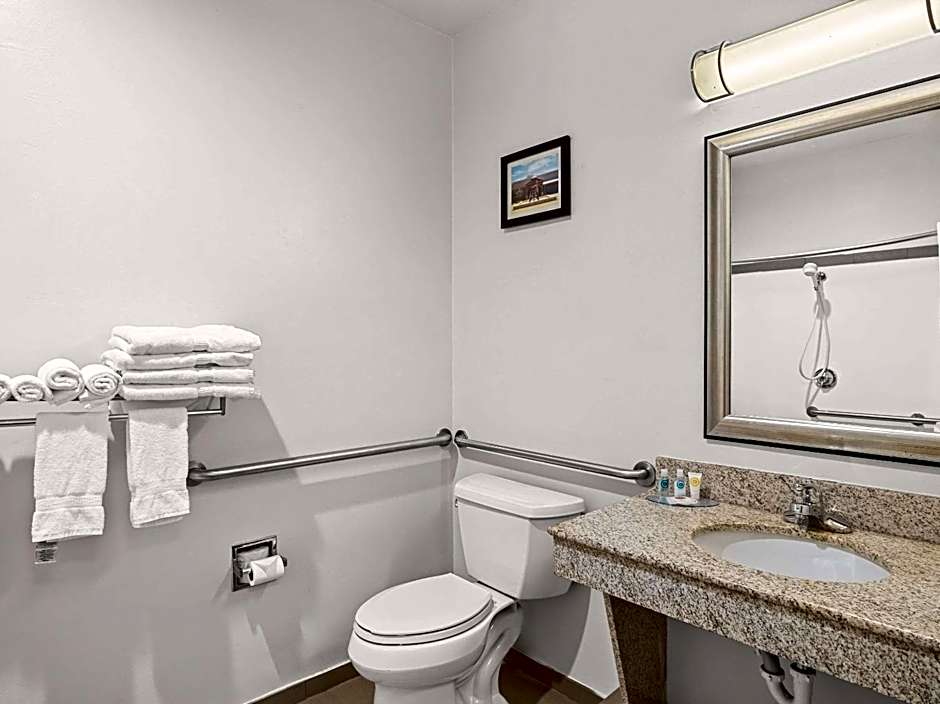 Comfort Suites Lindale - Tyler North