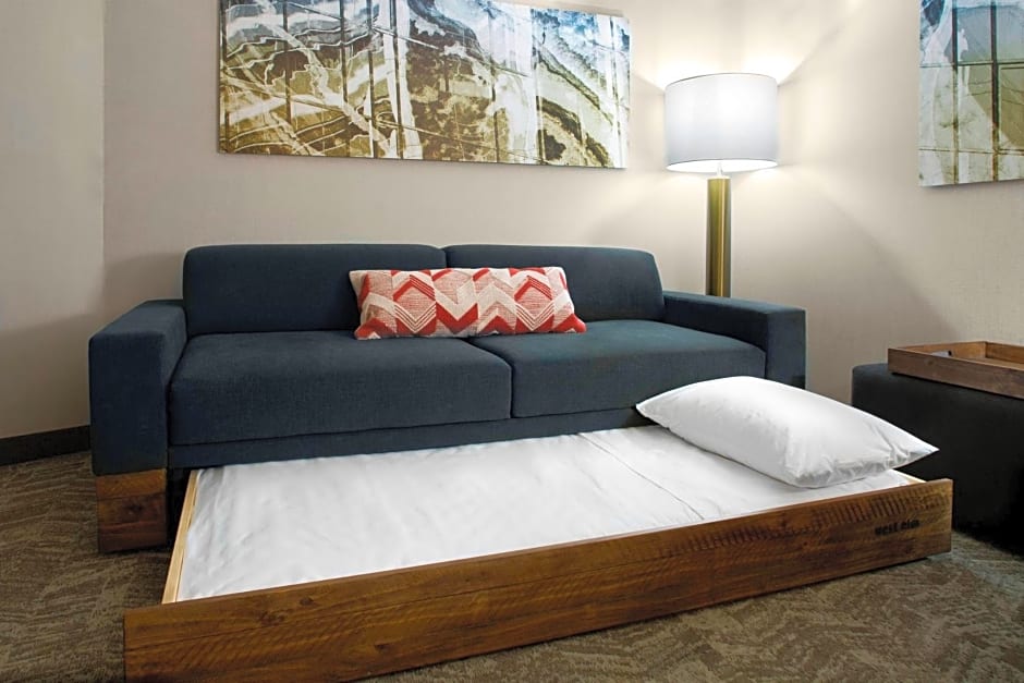SpringHill Suites by Marriott Kansas City Lenexa/City Center