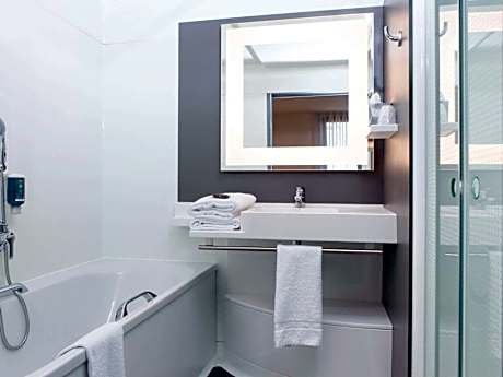 Superior Suite with 1 double bed and 1 single sofa bed