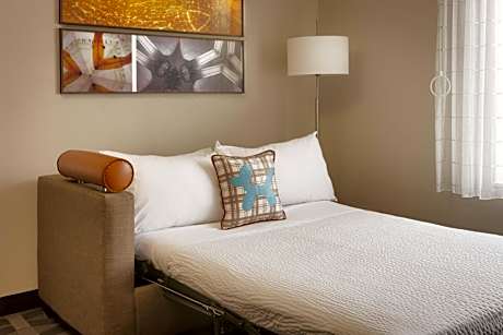 One-Bedroom Queen Suite with Sofa Bed