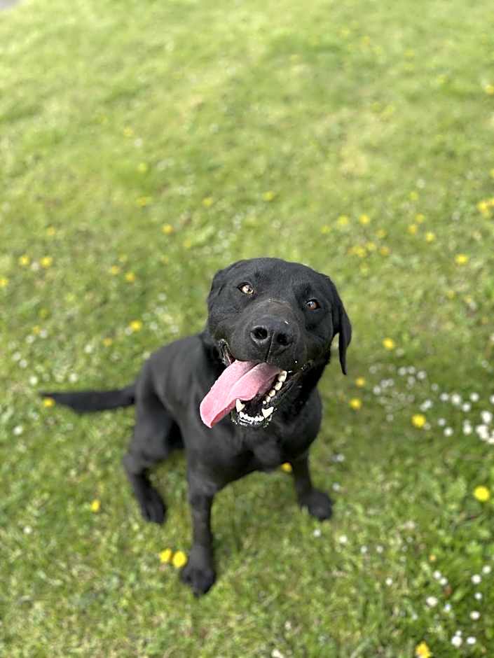 Lakeside Fishing Retreats