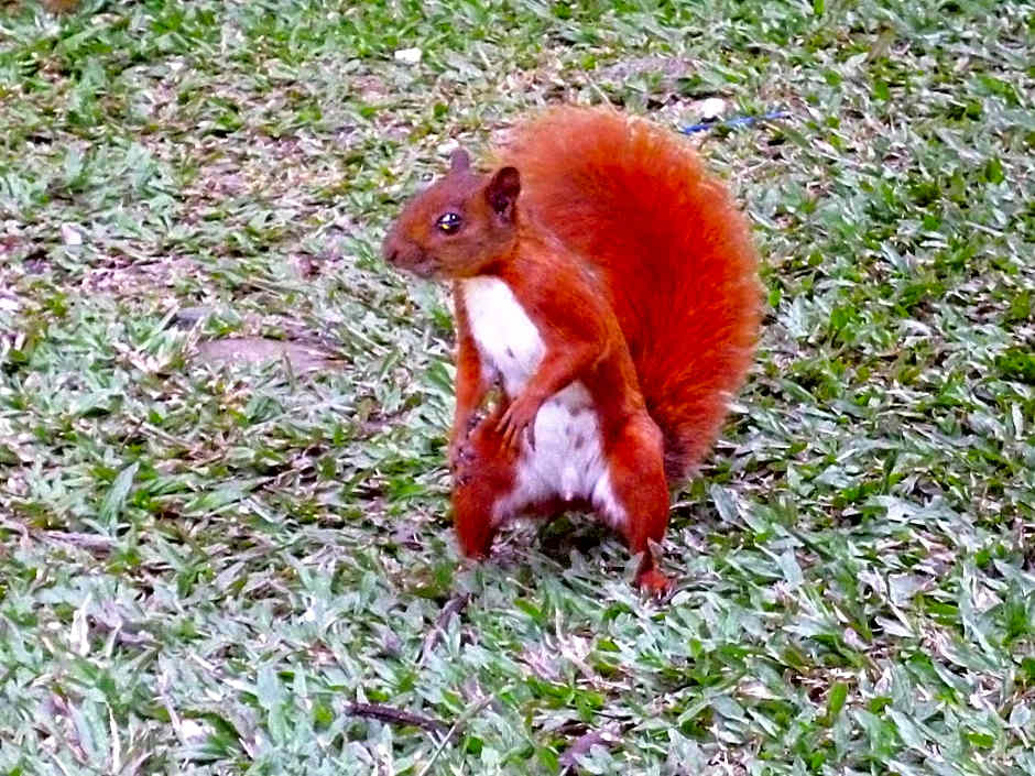 Hotel Poblado Campestre