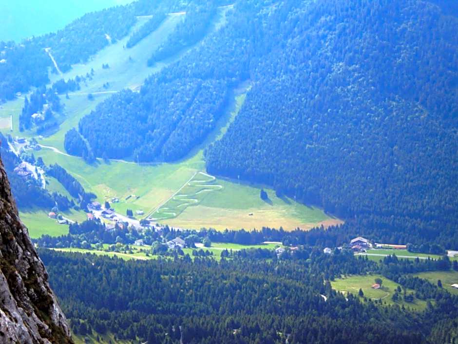 Hotel Des Alpes