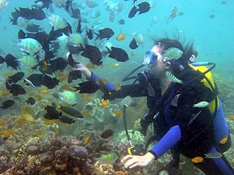 Paradise Island Park & Beach Resort