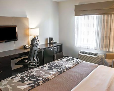 1 King Bed Nonsmoking
