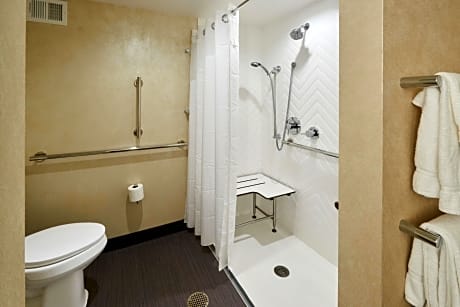 Suite -  Mobility Access Roll in Shower/Non-Smoking