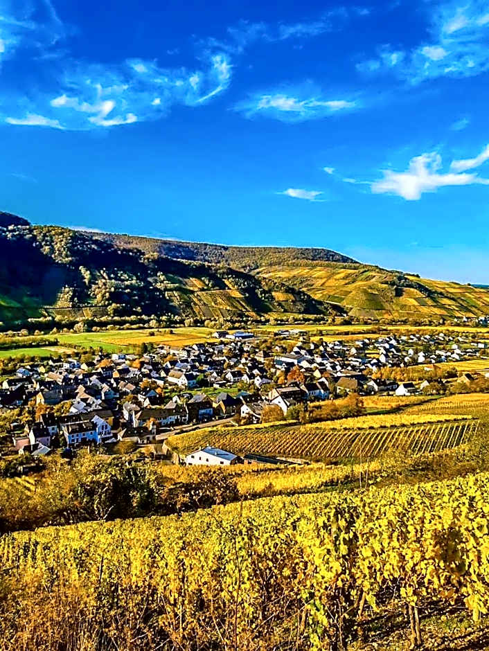 Moselhotel Weinhaus Simon `Sauna`Restaurant`ELadesäule