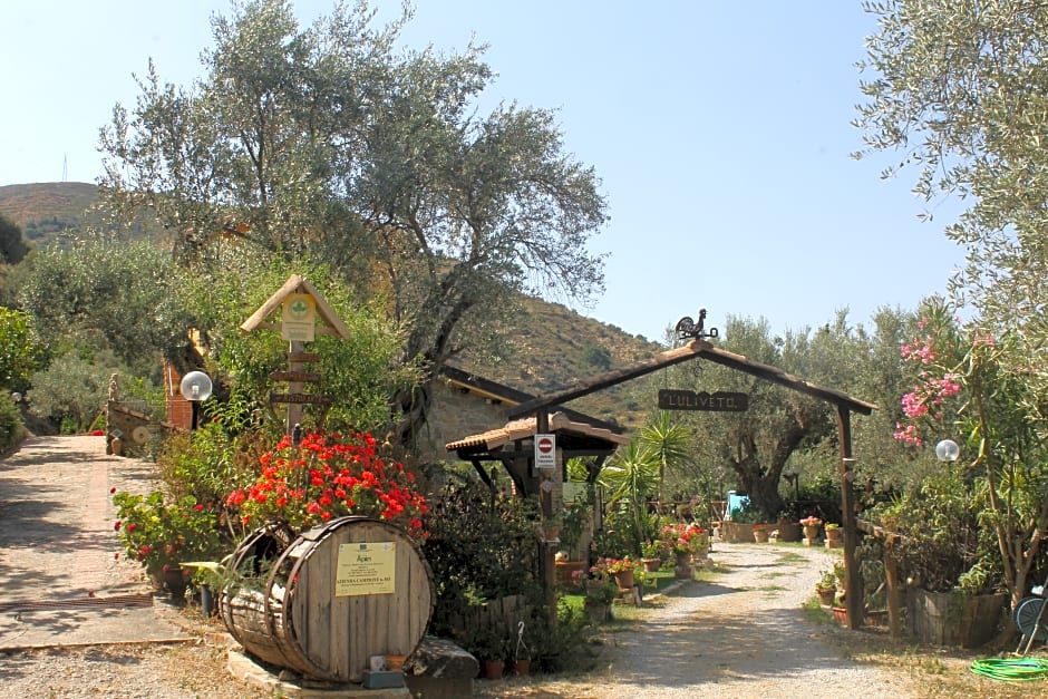 Agriturismo L'Uliveto