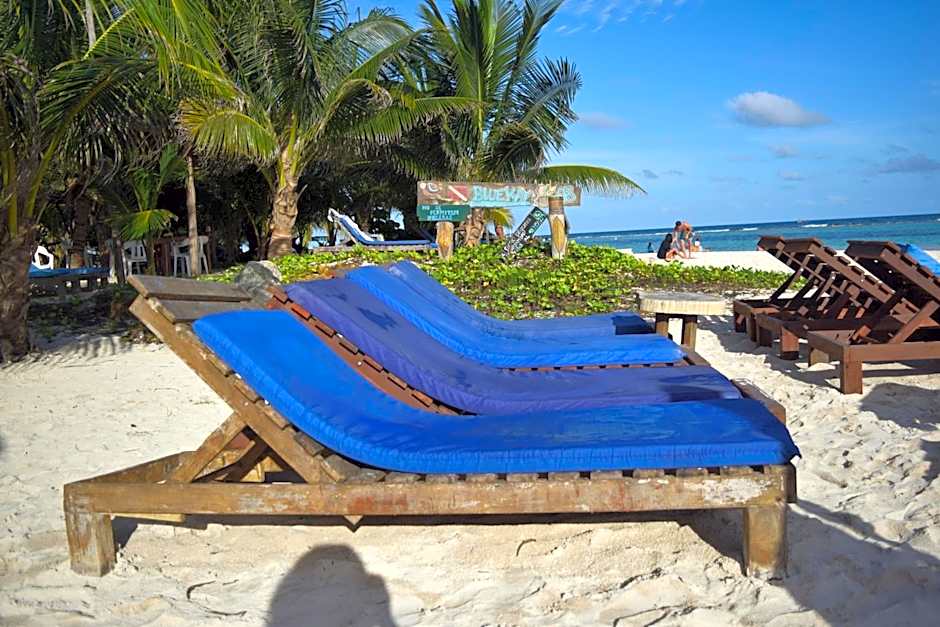 Eco Cabañas Bluekay