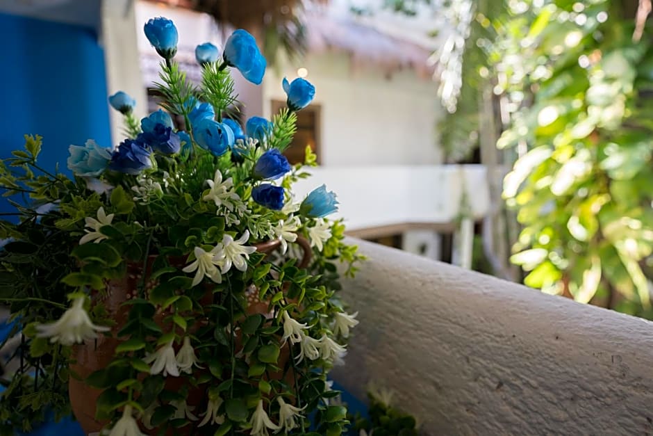 Posada Mariposa Boutique Hotel - 5th Avenue