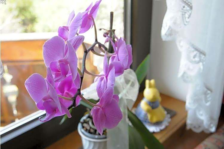 Tannerhof Bed & Breakfast