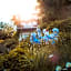 Bed & Breakfast Unter den Linden