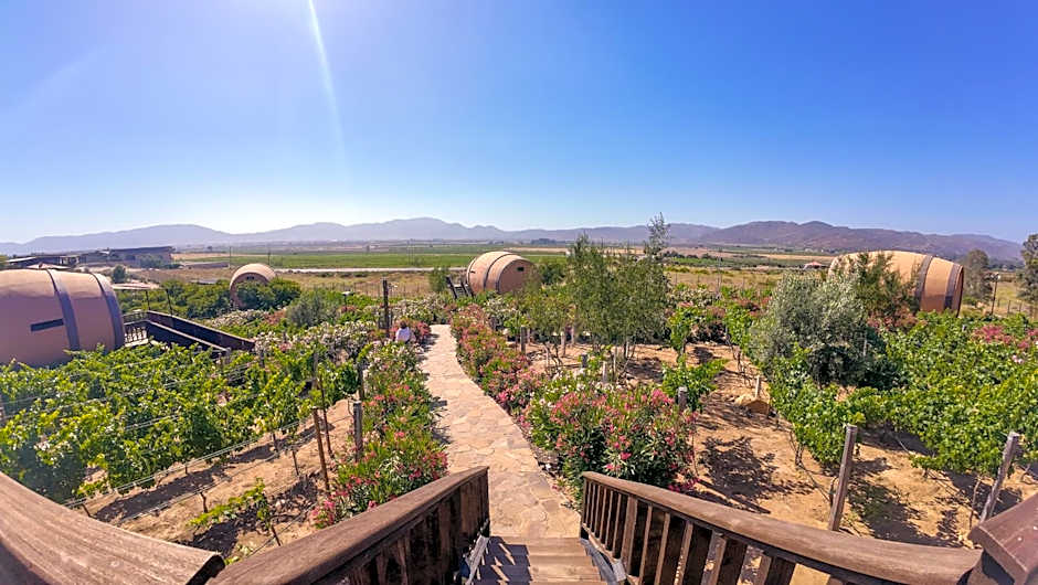 Finca el Mirador