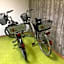 Steffis Hostel Heidelberg