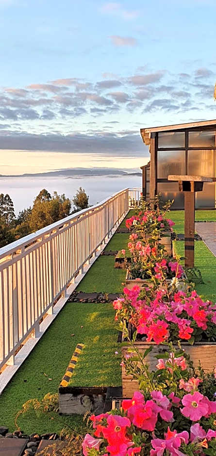 Aorangi Peak Holiday House