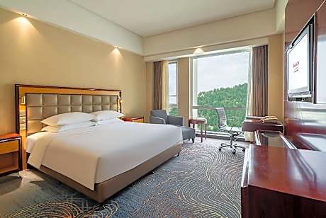 Deluxe King Room with View - Non-Smoking