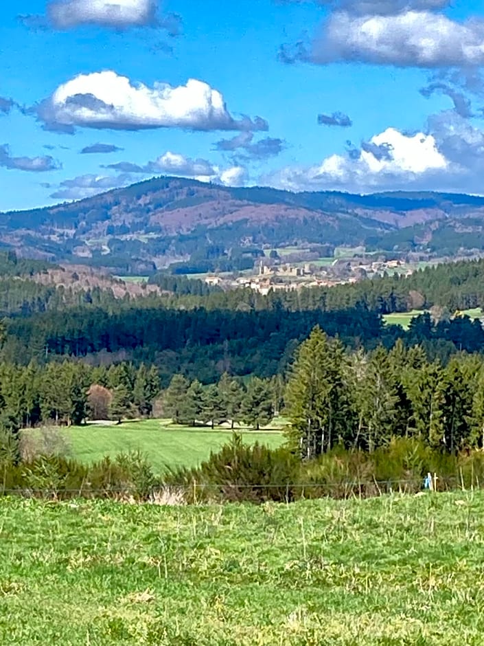 Moulin des Comtes - Chambre les Rochers