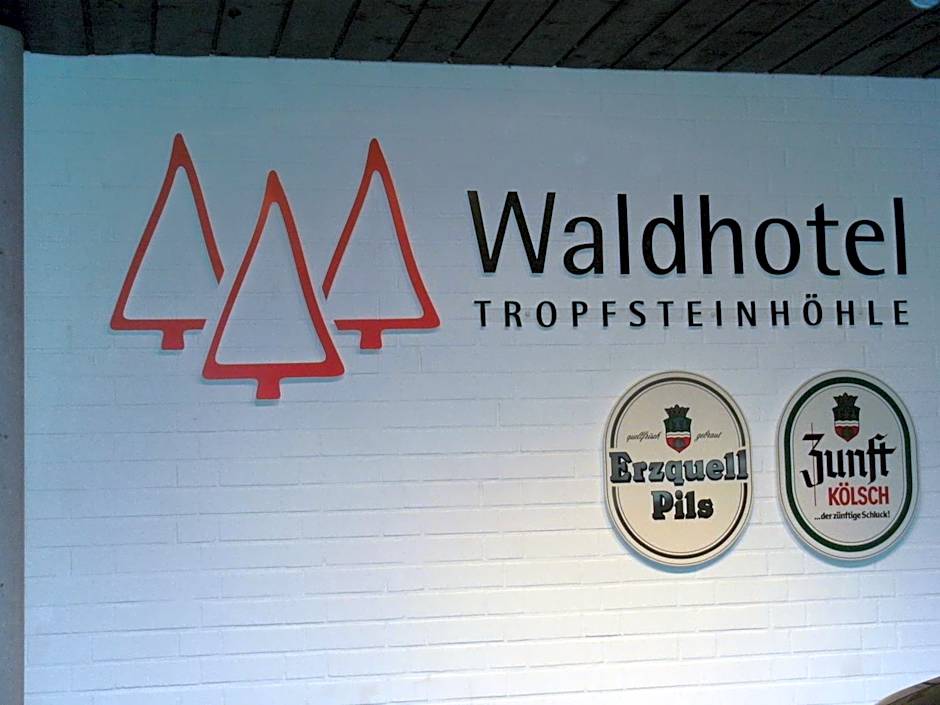 Waldhotel Tropfsteinhöhle