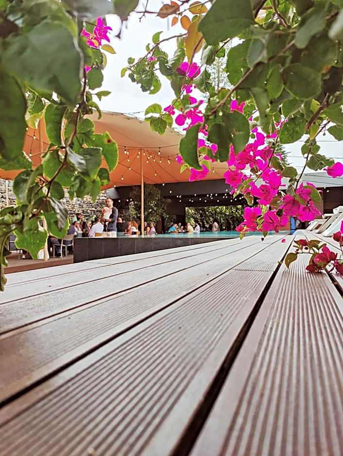 Volcanic Charming House