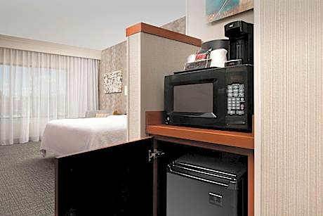 1 King Bed, Larger Guest room, 1 King