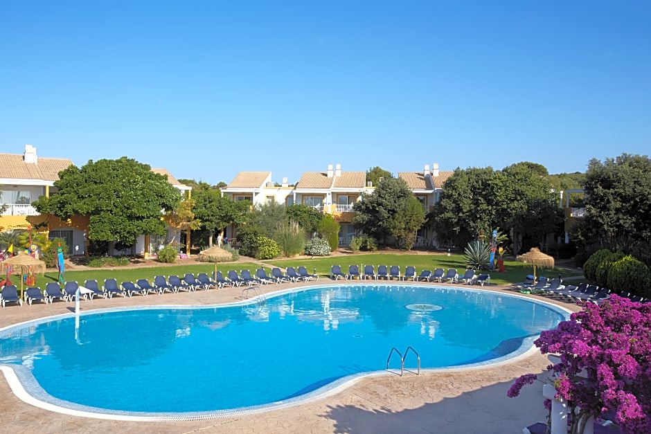 Comitas Isla del Aire