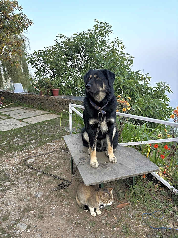 The Oak Trails Eco Lodge