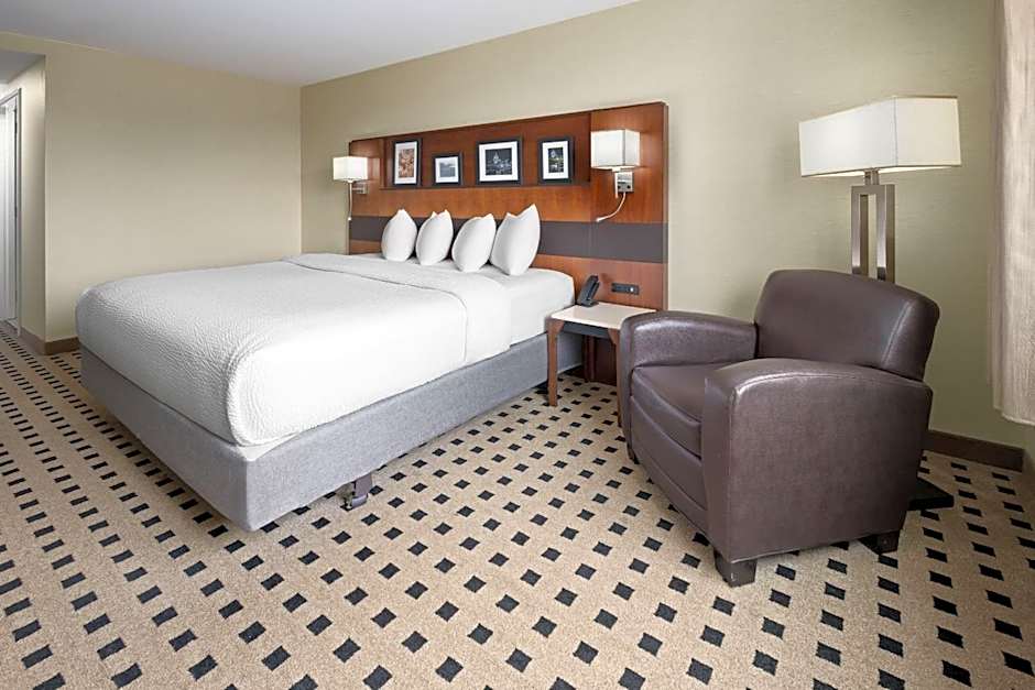 Photo 1 of 4 of 1 King Bed, Mobility Accessible, Roll in Shower