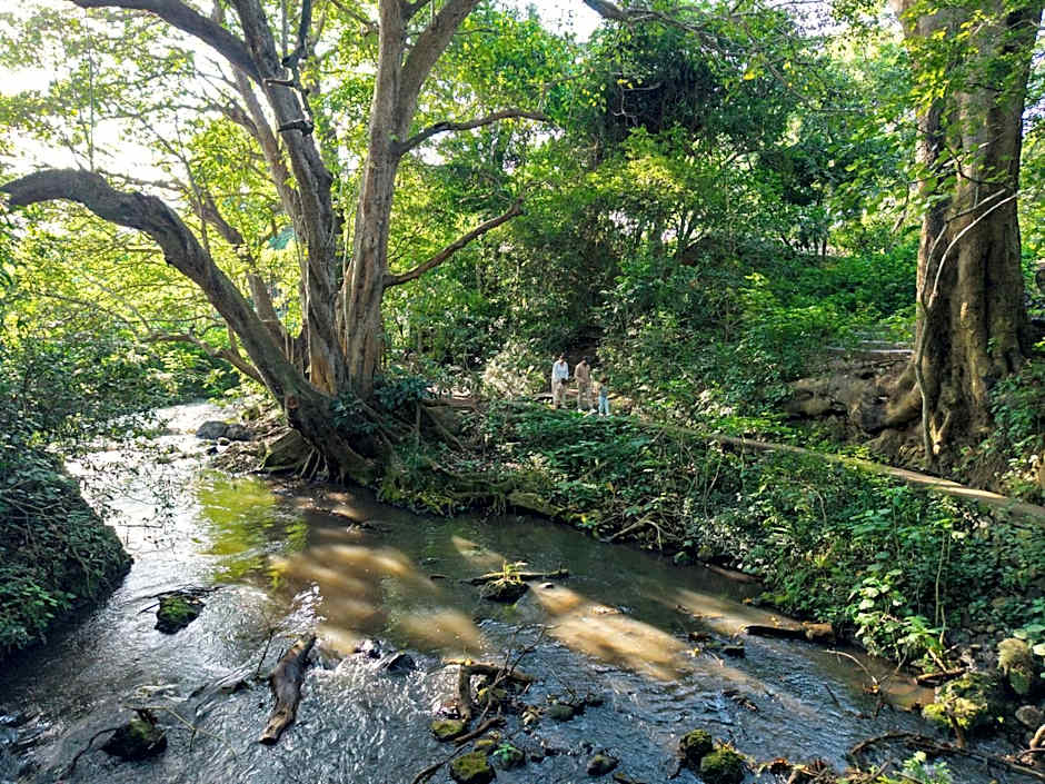 Rivertrees Country Inn
