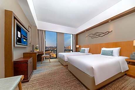 Deluxe City View Twin