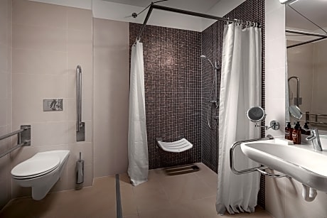 Classic Double Room with park View