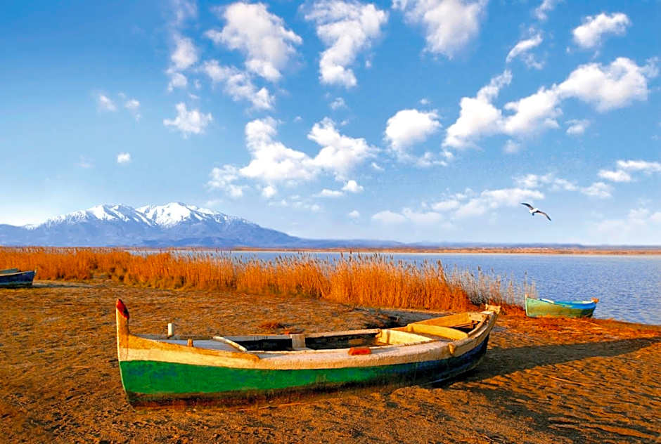 Résidence Les Flamants Roses
