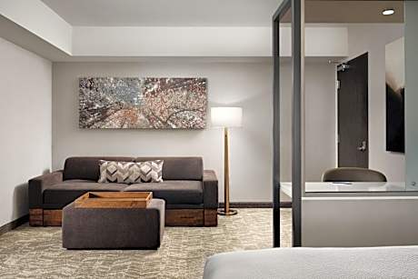 King Suite with Trundle Bed - Hearing Accessible