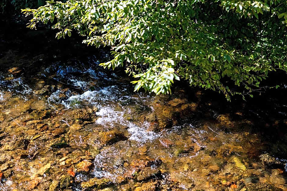 schlossmühle - lean luxury boutique hotel