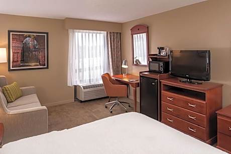 One Full Size Bed with Accessible Tub and Sofabed-Non-Smoking