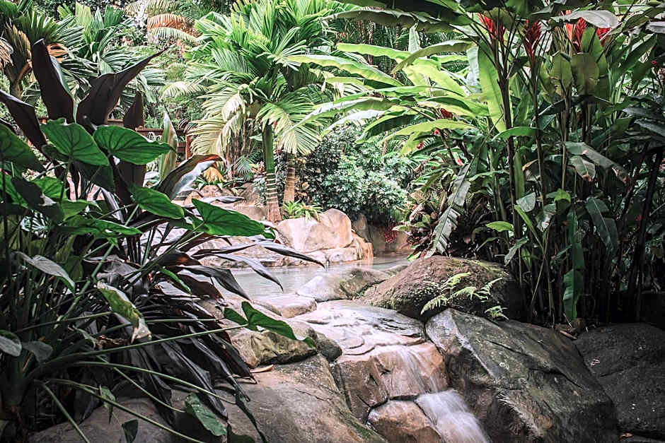 Chachagua Rainforest Hotel & Hot Springs