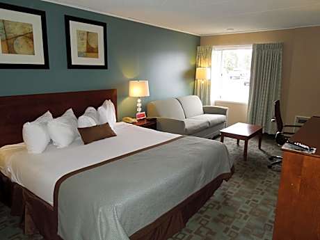 Superior King Suite - Non-Smoking