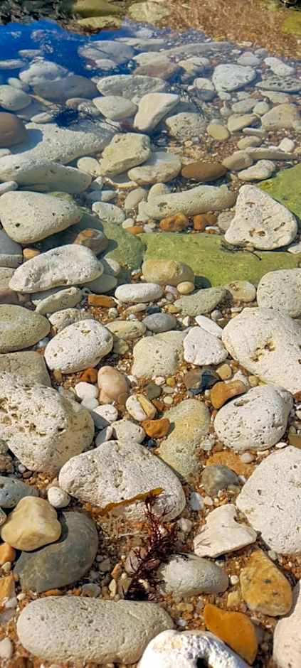Logis Hôtel de la Plage