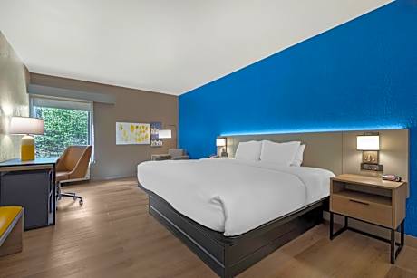 King Room with Whirlpool - Non-Smoking