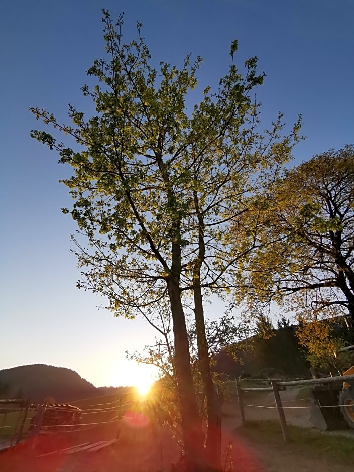 Ferienwohnung Schlögelhofer