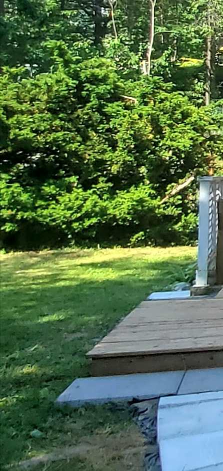 Blue Ocean Family vacation Luxury Suite
