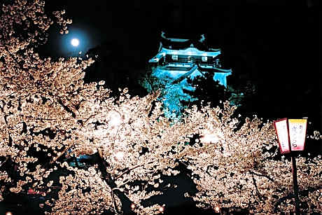 Superior Single Room - Non-Smoking