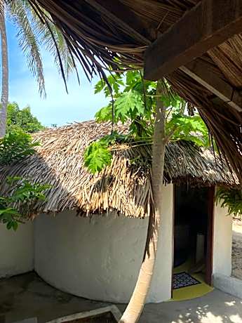 Standard Double Suite