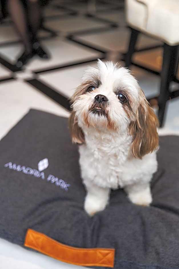 Amadria Park Agava Hotel