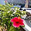 Costa Adeje Garden Aparthotel