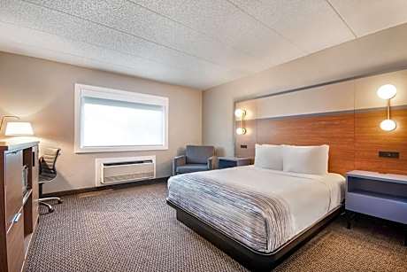 1 Queen Bed Mobility Accessible Room Non-Smoking