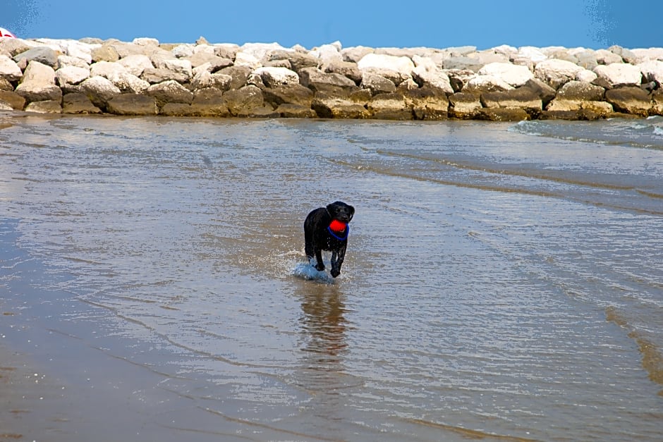 Centro Vacanze Cavallino