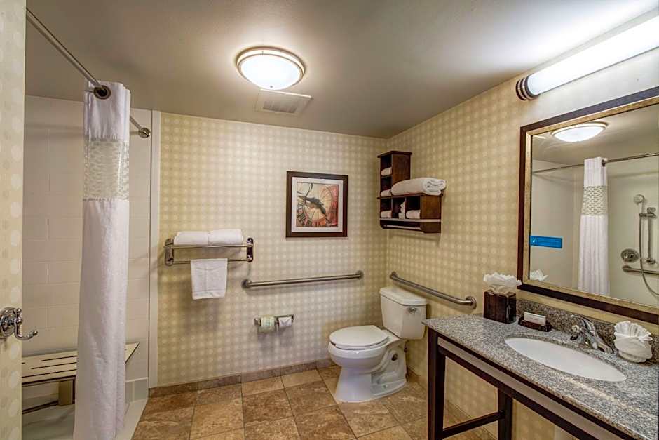 Hampton Inn By Hilton And Suites Detroit/Airport-Romulus